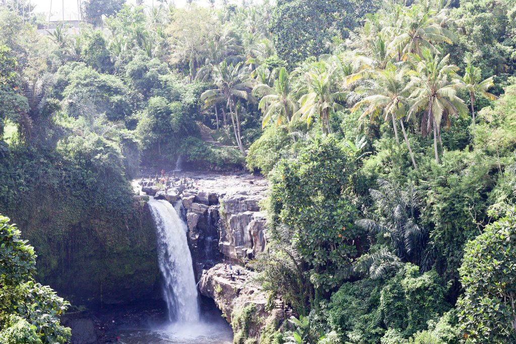 Bali Reiseberbicht - Gitgit Wasserfall