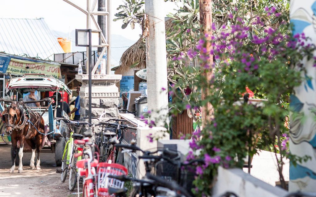 Reisebericht Bali - Gili Air Traffice